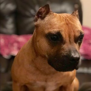 Meet your Posher, Jay